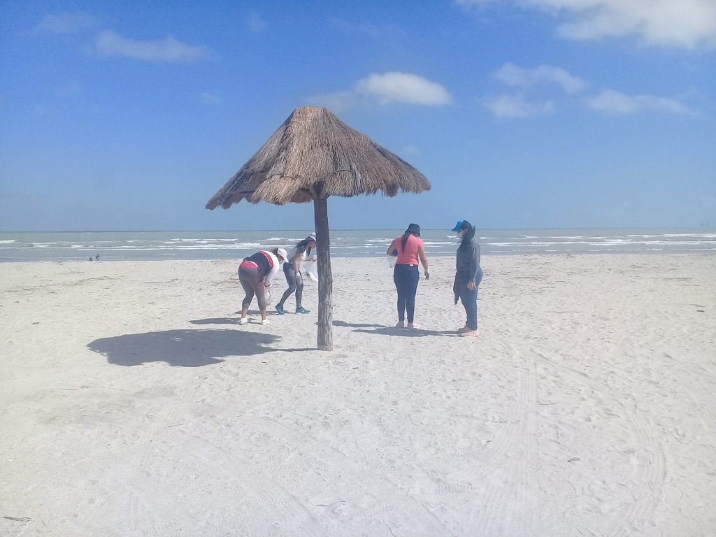 Acciones de Voluntariado para la Limpieza de Playa Norte