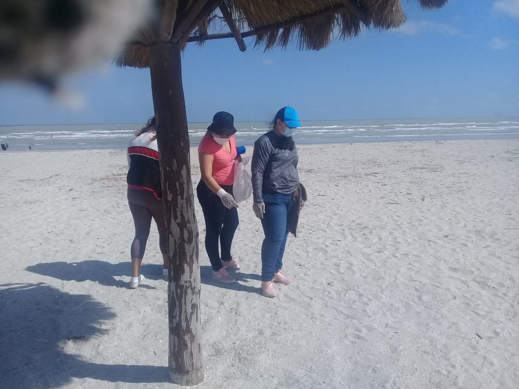 Acciones de Voluntariado para la Limpieza de Playa Norte