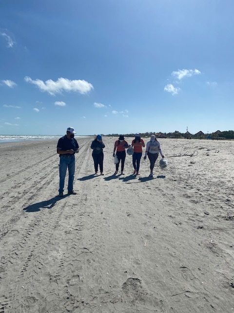 Acciones de Voluntariado para la Limpieza de Playa Norte