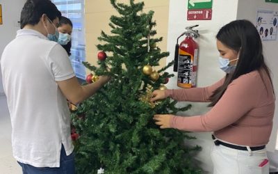 Tradición del Árbol de Navidad