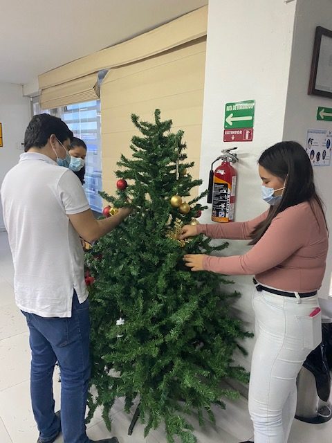 Árbol de navidad