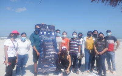 Acciones de voluntariado para la limpieza de Playa Norte