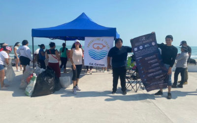 Acciones de voluntariado de la campaña de limpieza de Playa Norte promovida por la organización Snorkeling 4 Trash